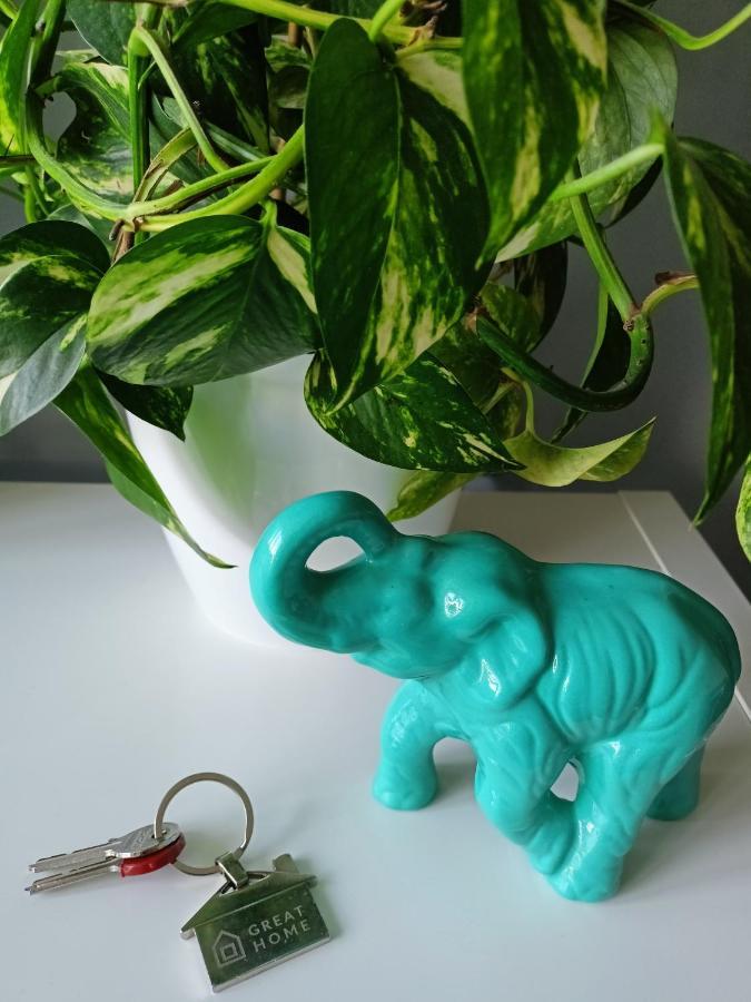 Greathome Apartment Zator